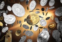 Crypto Market Is on Pump Crypto Market Is on Pump